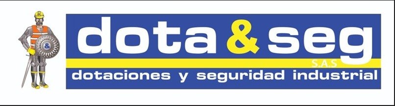 DOTAYSEG SAS